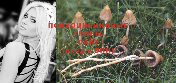 хмурый Протвино