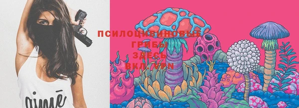 хмурый Протвино