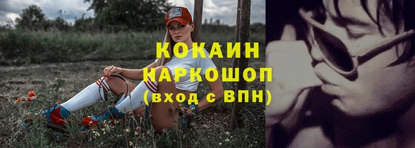 хмурый Протвино