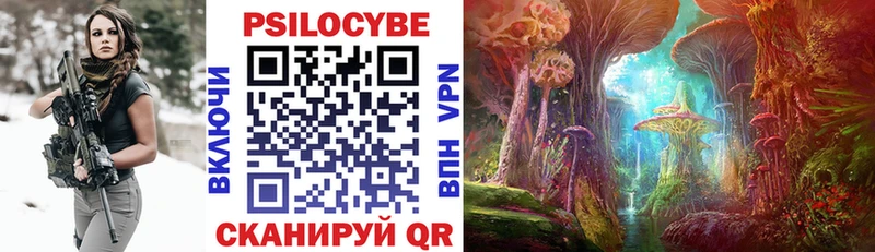 дарнет шоп  Адыгейск  Галлюциногенные грибы Psilocybe 